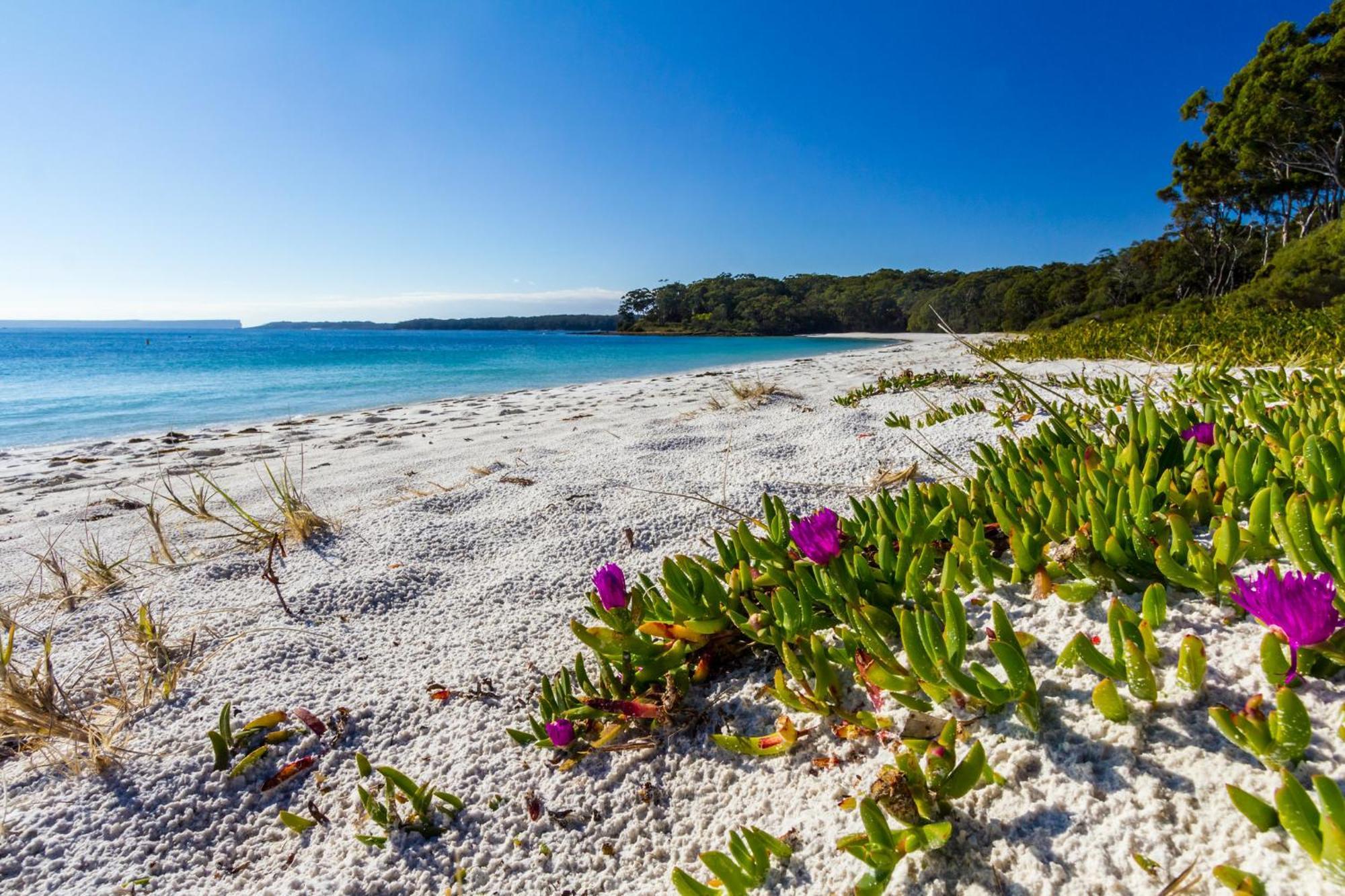 Bay And Bush Jervis Bay Βίλα Huskisson Εξωτερικό φωτογραφία